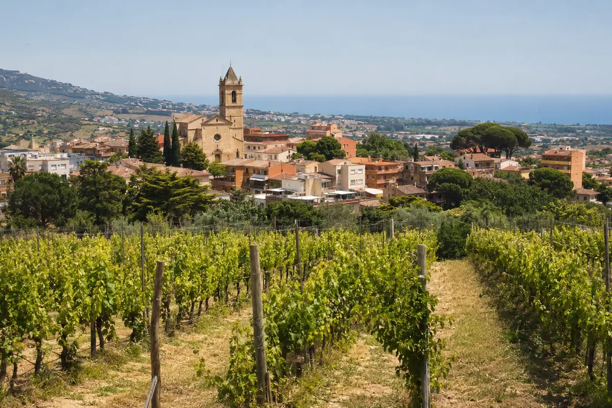Vinyes amb el nucli d'Alella i l'església de Sant Feliu al fons