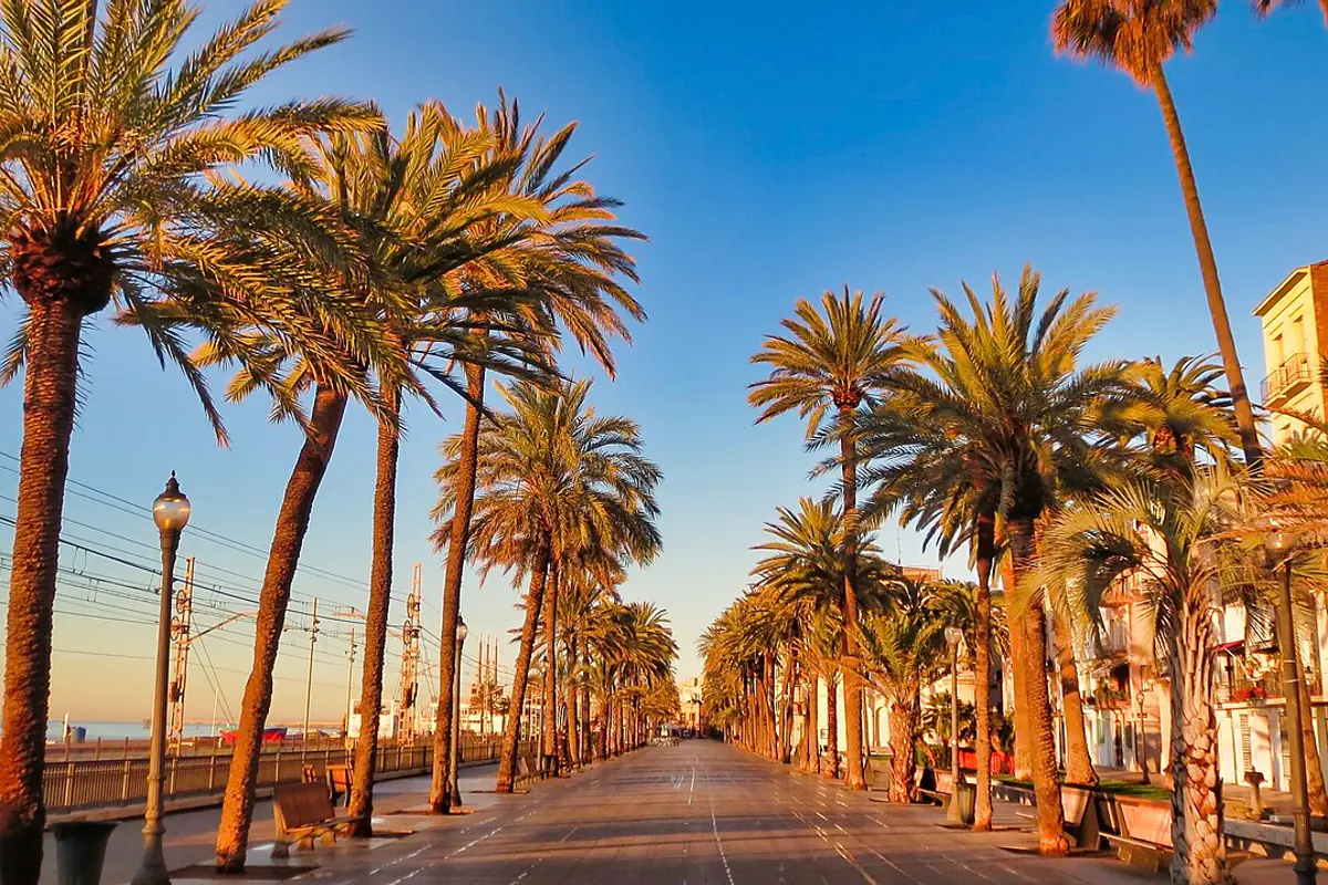 La Rambla de Badalona amb palmeres i el mar